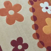 روفرشی ترونمیز