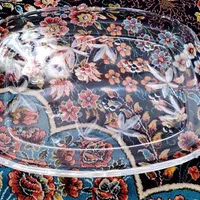 کریستال نو خارجی با مناسب ترین قیمت|ظروف سرو و پذیرایی|پرند, فاز ۵|دیوار