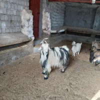 فقط تماس بگیرید