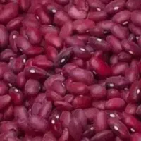 لوبیا قرمز مستقیم از کشاورز برای بذر هم عالی است|خوردنی و آشامیدنی|آوج, |دیوار