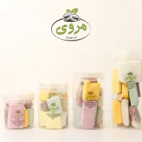 میوه فریزدرایر ، بستنی خشک شرکت مروی