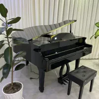 پیانو گرند مدل کاسیو