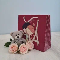 بزرگترین تولید کننده شاپینگ بگ در شرق کشور|عمده‌فروشی|مشهد, فلسطین|دیوار