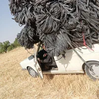 خرید و فروش انواع طیف محمدرضا علیزاده|حراج|اقبالیه, |دیوار