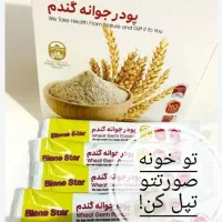 جوانه گندم