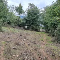 ۱۰۰۰متر زمین جیرمحله طالکوه جنگلی