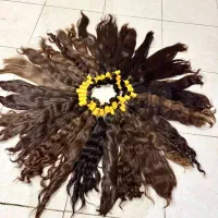 قژ اسینم به بان ترین قیمت|آرایشی، بهداشتی، درمانی|قروه, |دیوار