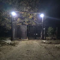 یک قطعه باغ میوه زرد آلو