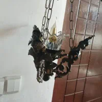 لوستر