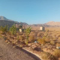 زمین فروشی|فروش زمین و ملک کلنگی|برزک, |دیوار