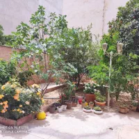 طبقه-همکف-ویلایی3-خواب-مستردار-درب-از-حیاط