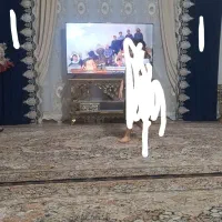 گلدان برنجی با گل 22200|صنایع دستی و سایر لوازم تزئینی|نسیم‌شهر, |دیوار