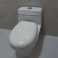 فرنگی گلسار با آکس ۲۰ و ارتفاع ۶۰