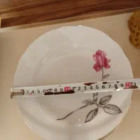 چینی مسعود|ظروف سرو و پذیرایی|تبریز, |دیوار