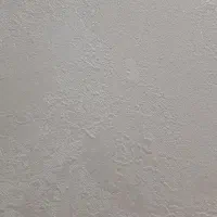 نظافت کارشخصی