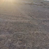 دو عدد زمین 140متری شریف آباد روستای قرمز تپه|فروش زمین و ملک کلنگی|تهران, انبار نفت|دیوار