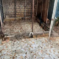 قفس مرغ وپرنده