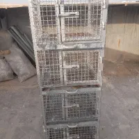 قفس فلزی جفتگاه کبوتر