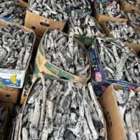 زغال پسته ۸۱۰۰۰