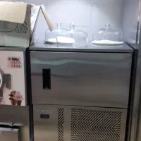 شوک فریزر  پارس گل