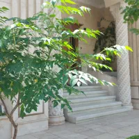 آپارتمان-270-متری-تک-واحدی-بر-خیابان-بهشت-سالاریه