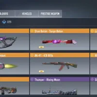 ۲ اکانت کالاف|کنسول، بازی ویدئویی و آنلاین|اردبیل, |دیوار