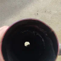 منبع اگزوز اسپرت 720|قطعات یدکی و لوازم جانبی|ارومیه, |دیوار