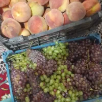 هلووانگور