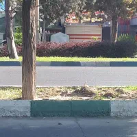 کاردر کارواش