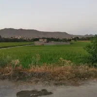زمین چهاردیواری ویلایی روبه رودخانه وصحرا|فروش زمین و ملک کلنگی|مبارکه, |دیوار
