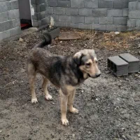 بغوش نوه حاج رضا ارومیه