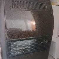 بخاری سالم