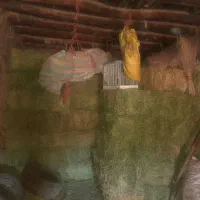 پرس یونجه چن دو سه