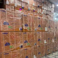کولرگازی 24 هزار جنرال شکار لبخندی T3