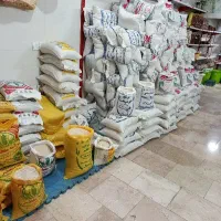برنج،گیلان ومازندران