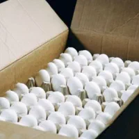 فروش عمده تخم مرغ