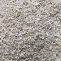 نیم دانه فجر|خوردنی و آشامیدنی|خان ببین, |دیوار