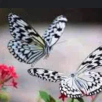 پی دی اف کتاب های استخدامی