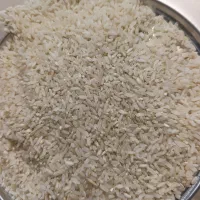 برنج چمپا خوش پخت
