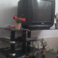 تلویزیون با دیجیتال سالم