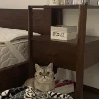 پاتختی شرکت چوبکده