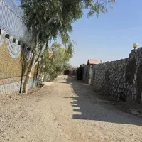زمین باغی داخل مجموعه
