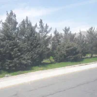 زمین-کشاورزی-روستای-چشمه-سیاه