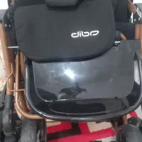 کالسکه نونو