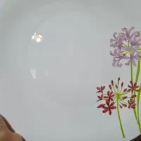 سرویس ارکوپال بورمیولی اسپانیایی ۲۶پارچه