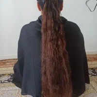 مو طبیعی|آرایشی، بهداشتی، درمانی|اهواز, مجاهد|دیوار