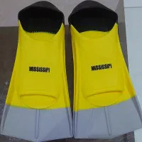 فین استخر