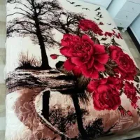 پتو مارک شادیلون ارزان رسید|رختخواب، بالش، پتو|چناران, |دیوار