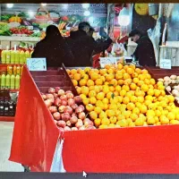 اجاره-25-متر-مغازه-میوه-فروشی-بر-خیابان-پونک-عدل