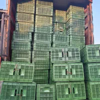 سبدفروشی جعفری سبد 20کیلویی 14 کیلویی وغیره...|عمدهفروشی|واجارگاه, |دیوار